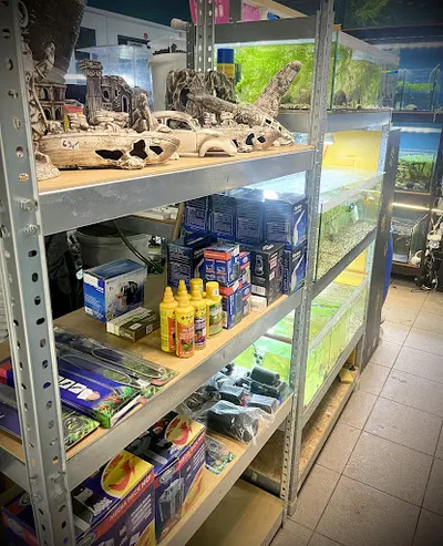 Hrabia Rybula. Hodowla i Sklep Akwarystyczny